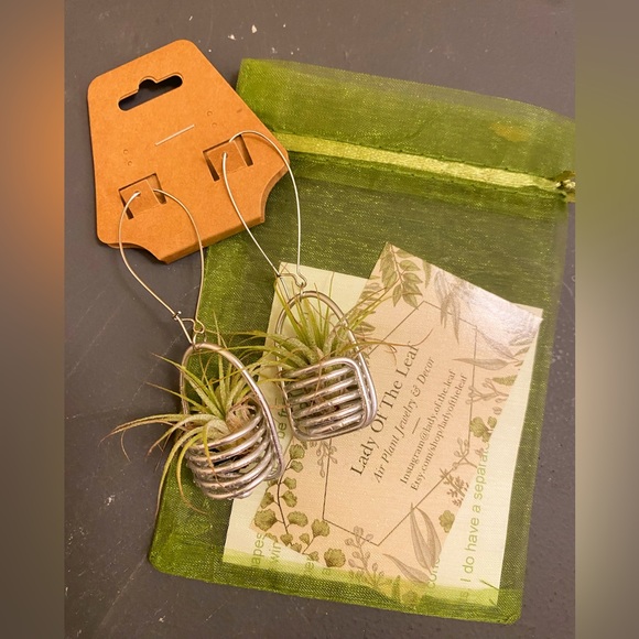 Silver double triangle air plant earrings - Picture 4 of 4